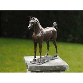 Statuie de bronz moderna Arabian Horse